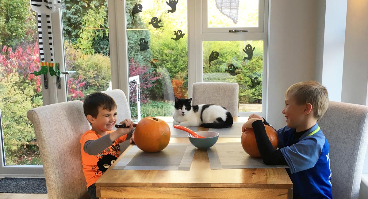 Decdorating Pumpkins in Extension